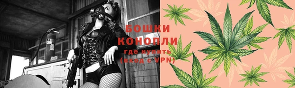 PSILOCYBIN Вязники