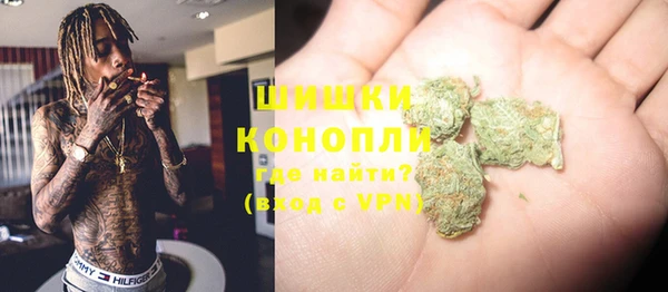 PSILOCYBIN Вязники