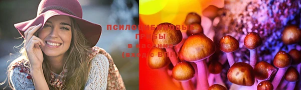 mdma Вяземский