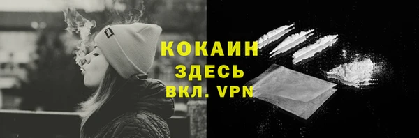 PSILOCYBIN Вязники