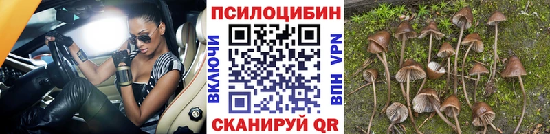 Купить  Лысково  Псилоцибиновые грибы мухоморы 